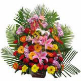 ػʻٵ